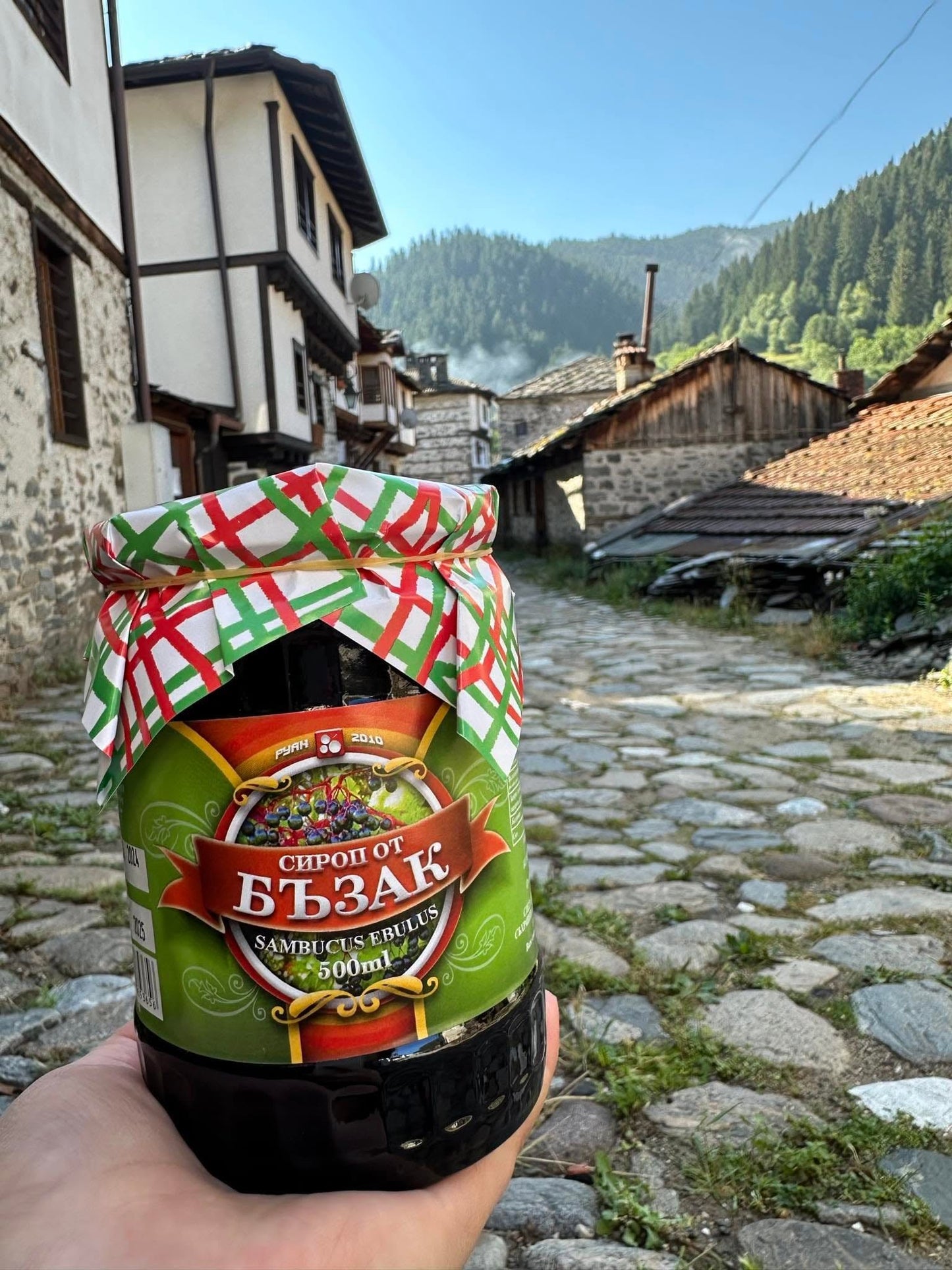 Сироп от Бъзак Зелен Руан2010